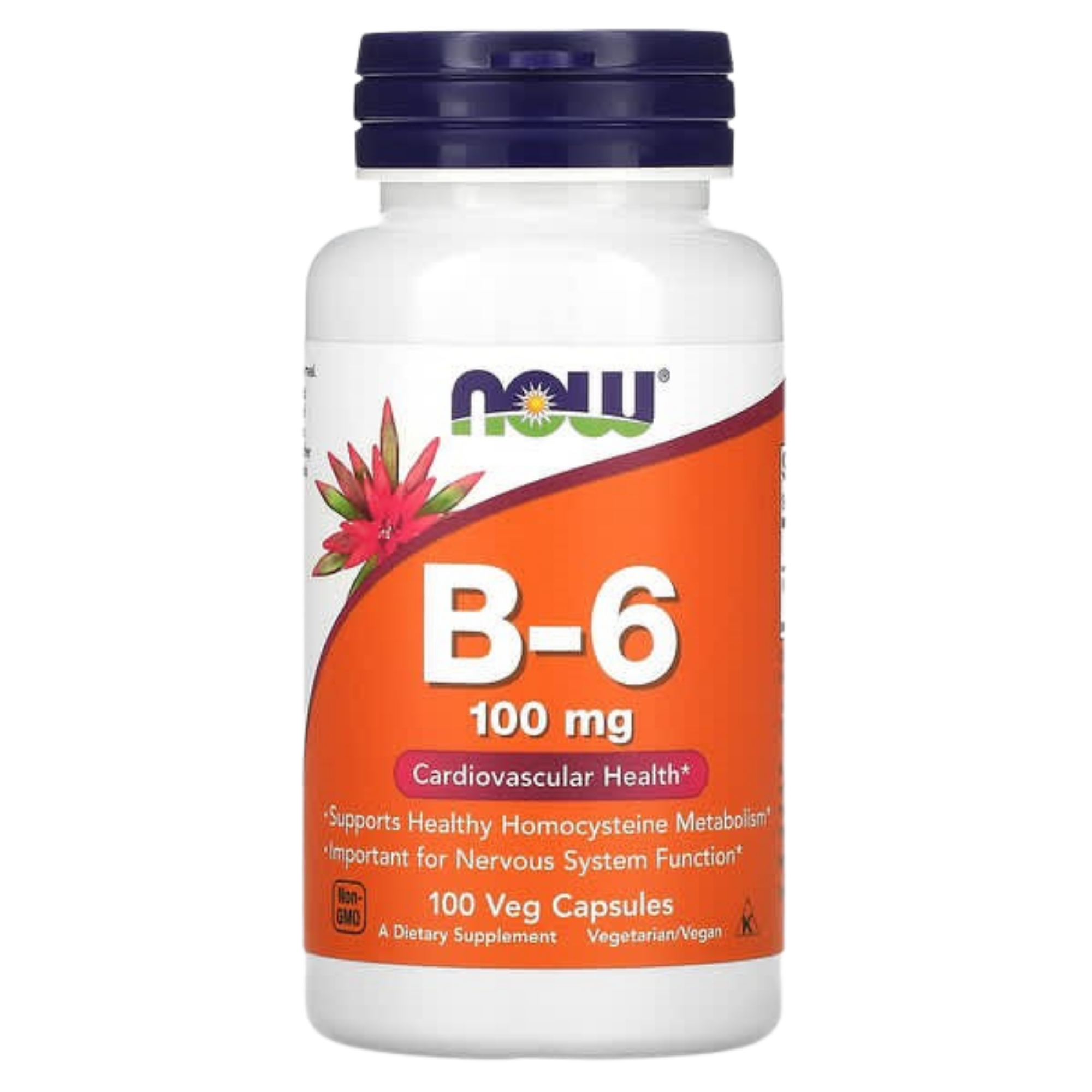 Vitamina B