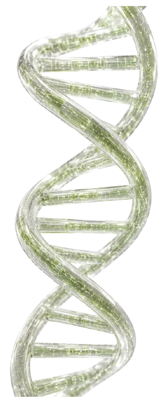 Genoma